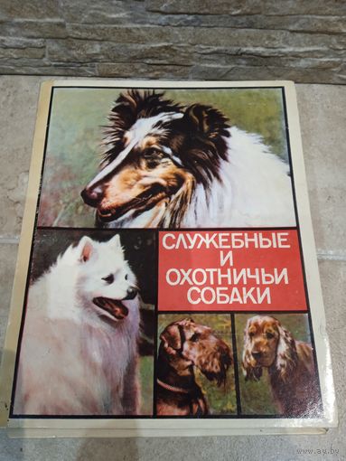 Набор спичек СССР собаки