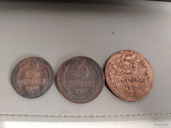 Копейки СССР 1924