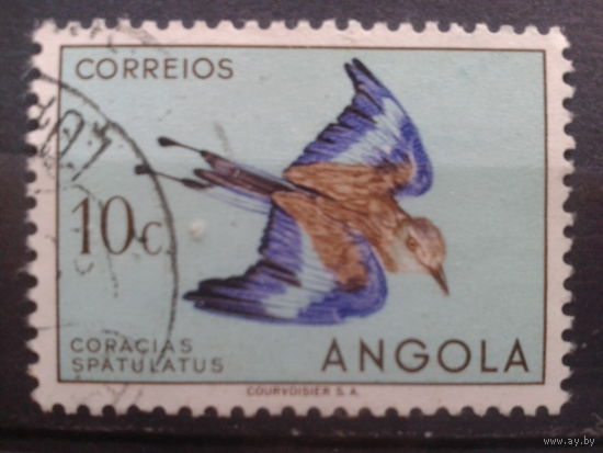 Ангола, колония Португалии, 1951. Ракетохвостая сизоворонка