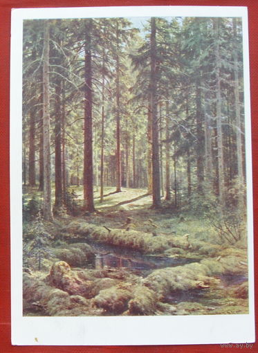Шишкин. Хвойный лес. Чистая. 1968 года. 22.