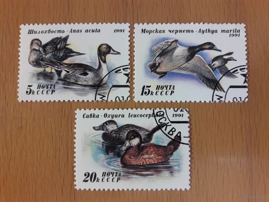 СССР 1991 Фауна. Утки. Полная серия 3 марки