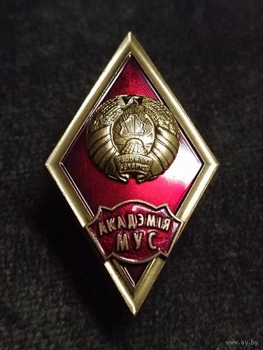 Академия МВД