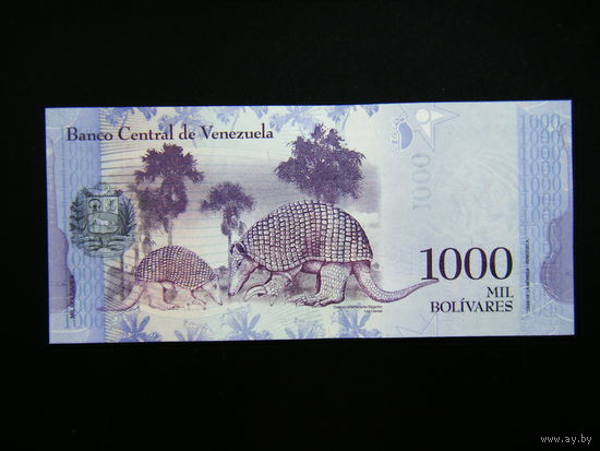 Венесуэла 1000 ВОЛИВАРОВ  2017г. UNC.