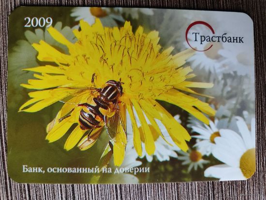 Календарик Трастбанк 2009г