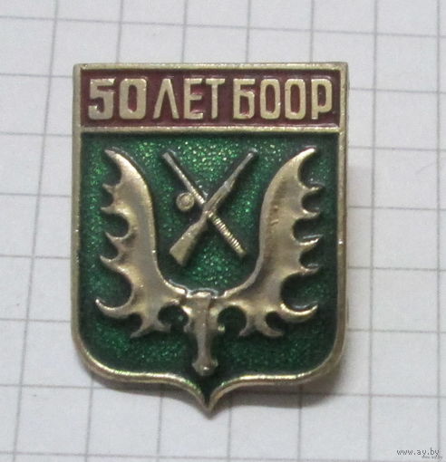 50 лет БООР