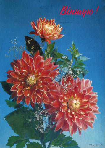 Открытка маркированная Вiншую!  . 1994