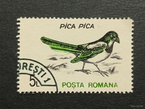 Румыния 1993. Птицы. Сорока