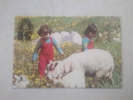Карманный календарик. Страхование. 1982 год.