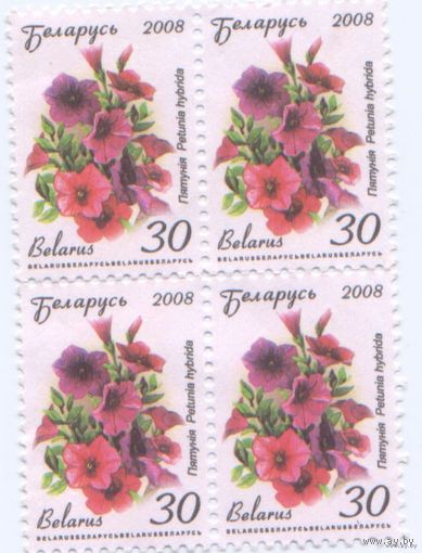 Марки РБ, стандарт 2008, петуния