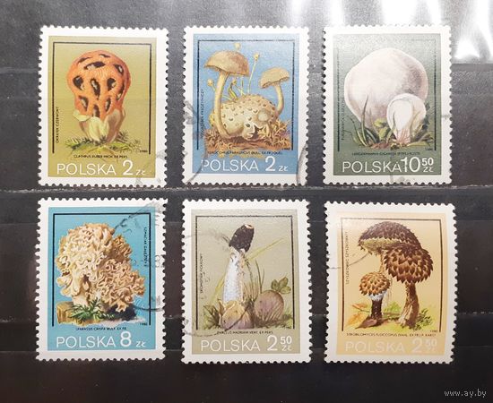 Польша. 1980 год. Флора. Грибы (963)