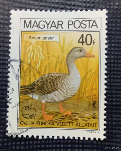 Марка Венгрия 1980