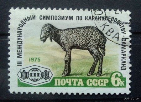 Марки СССР 1975 год. 4507. Международный симпозиум. Серия из 1 марки Гашеная. Гашеная.