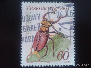 Чехословакия 1962 жук-рогач