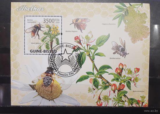 Гвинея-Бисау. 2009 год. Фауна. Насекомые. Пчёлы (блок) (1286)