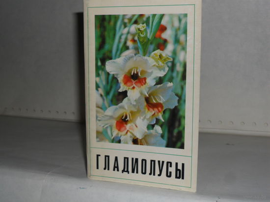 Открытки Гладиолусы (15 шт.)