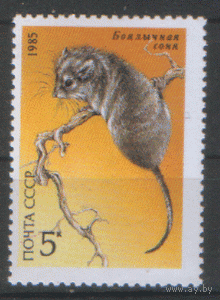 З. 5591. 1985. Боялычная соня. ЧиСт.