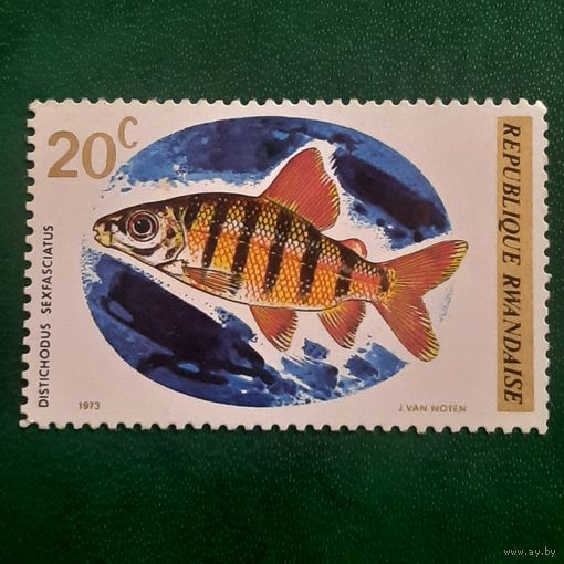 Руанда 1973. Фауна. Рыбы. Distichodus Sexfasciatus. Марка из серии