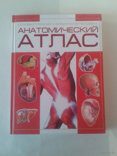 Медицина Анатомический атлас