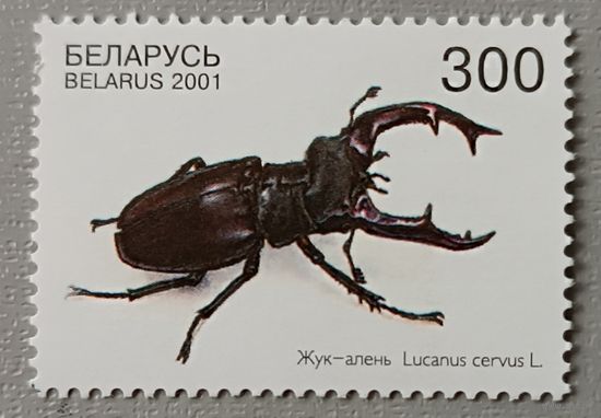 Беларусь, 2001. Жук-олень