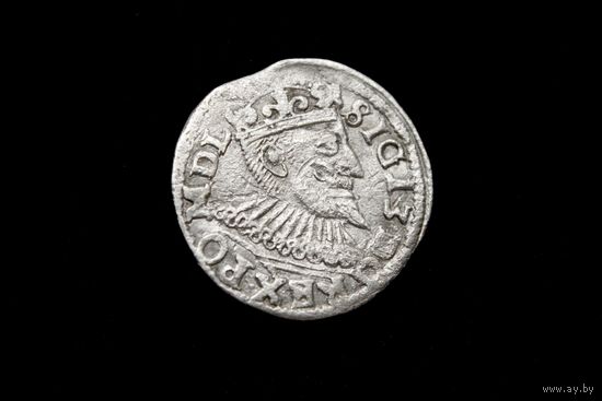 Трояк 1596 г. Познань (Речь Посполитая), Сигизмунд Ваза