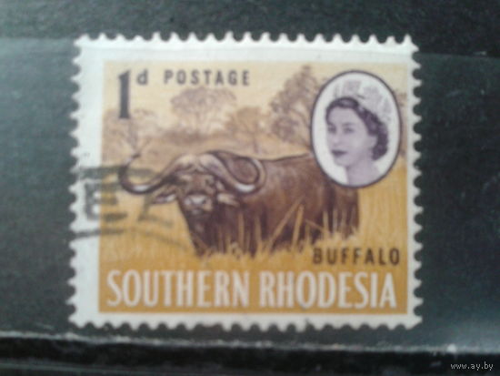 Южная Родезия, 1964. Королева Елизавета II и буйвол