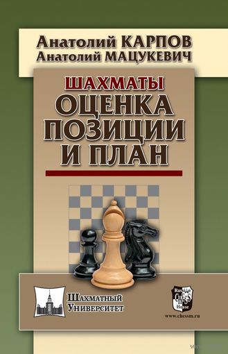 Карпов,Мацукевич. Оценка позиции и план