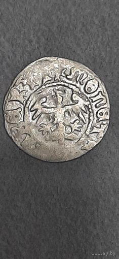 Полугрош Коронный Ян Ольбрахт 1492-1501