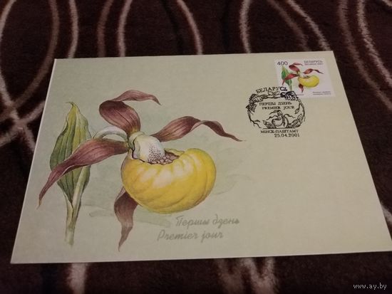 КПД 2001г. Венерин башмачек.