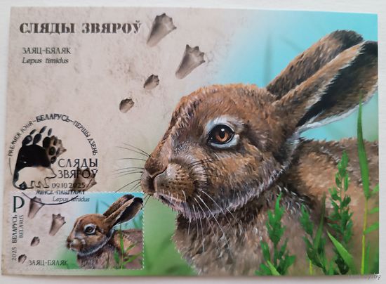 Картмаксимум "Заяц" Следы зверей.