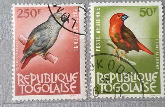 Того птицы 2шт