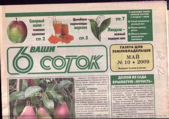 6 соток 10-2009