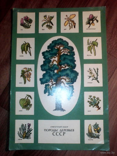 Спичечные этикетки. Гросс сувенирный. Породы деревьев СССР.1974 г.