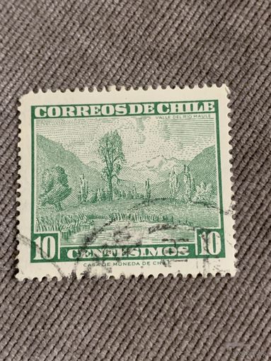 Чили. Valle del Rio Maule