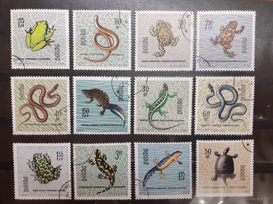 Польша. Фауна. Пресмыкающиеся, земноводные (1112)