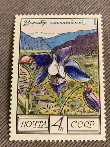 СССР 1976. Водосбор олимпийский. Марка из серии