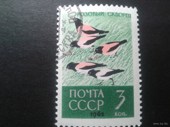 СССР 1962 розовый скворец