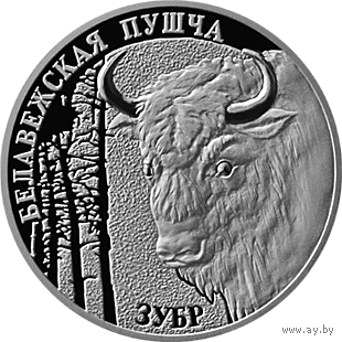 Зубр. Беловежская пуща, 1 рубль 2001