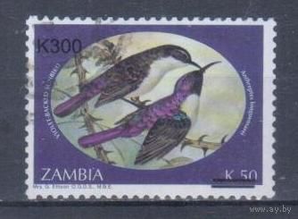 [1587] Замбия 2002. Фауна.Птицы.Нектарницы. НАДПЕЧАТКА. Гашеная марка. Кат.гаш.5 е.