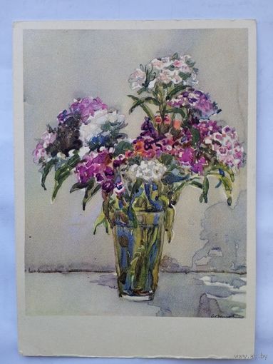 1957. Абрамова. Гвоздика
