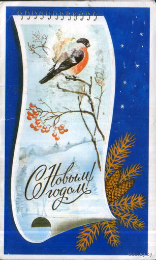 Подписанная двойная открытка 1987г. "С Новым годом! Снегирь" худ. Л. Кириллов