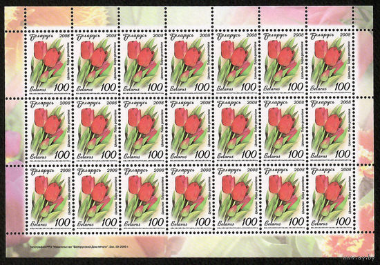 Беларусь. 2008. Стандарт.  Тюльпан (100р) (з.59-2009) Нет просечки снизу Лист