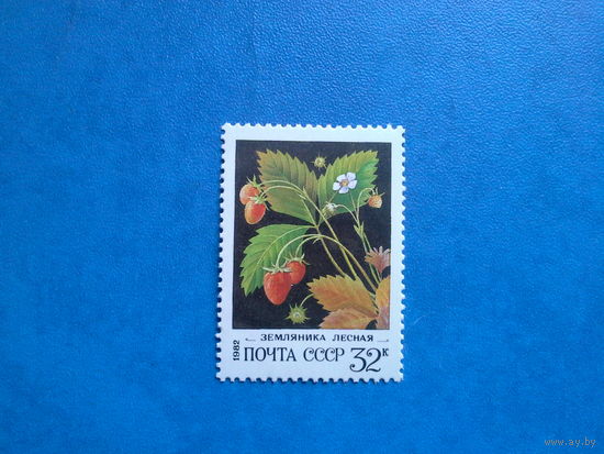 Ссср 1982. Земляника. 32 коп.