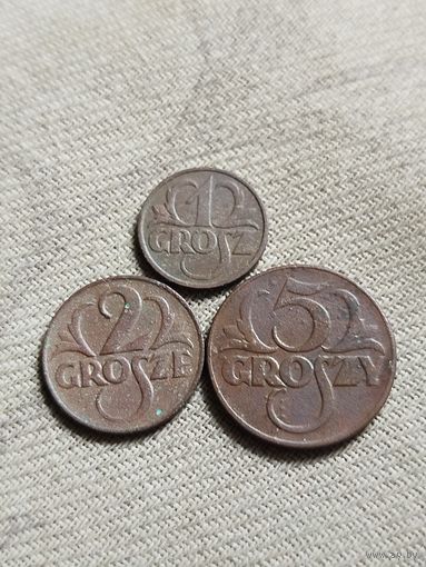 Распродажа - 1 грош 1931г,2 гроша 1925г,5 грошей 1923г.ПОЛЬША