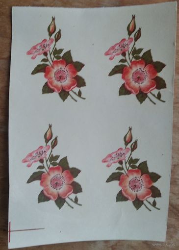 Переводные (сдвижные) картинки.  Цена за все.