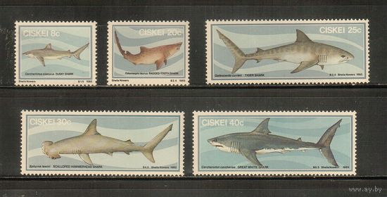 Сискей(ЮАР)-1983 (Мих.38-42) , ** ,  Морская фауна, Акулы (полная серия)