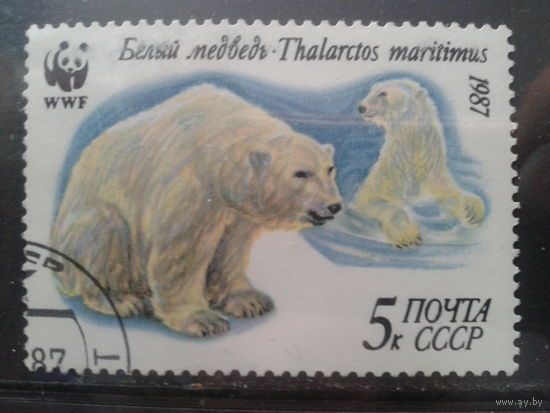 1987 Белый медведь WWF