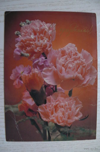 Стейнерт Э., С праздником! 1988, подписана.