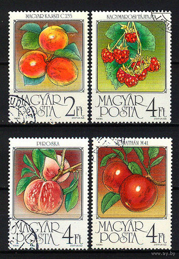 1986 Венгрия. Фрукты