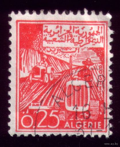 1 марка 1964 год Алжир 421 2