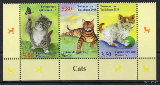 Таджикистан 2018. Фауна Кошки(484)